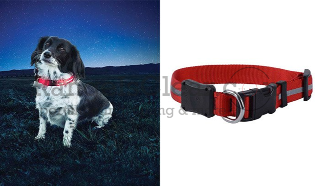 NiteIze NiteDawg LED Dog Collar Large RED