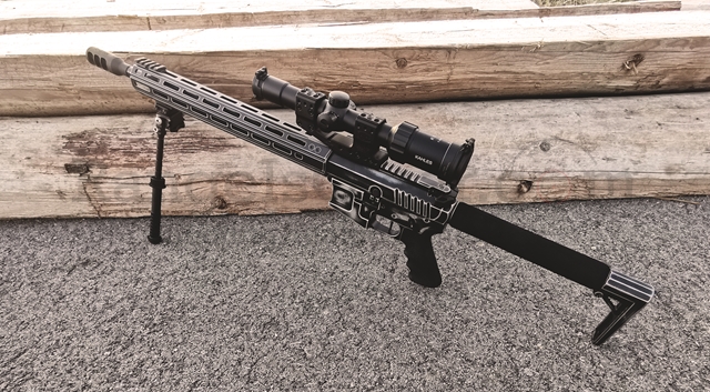 RangeIsClear Custom AR15 - IPSC BattleWorn