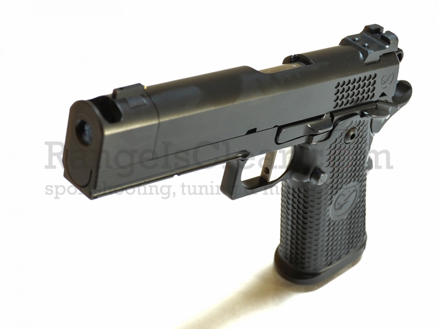 Nighthawk Custom TRS Comp - 9x19 Nighthawk Custom TRS Comp - 9x19