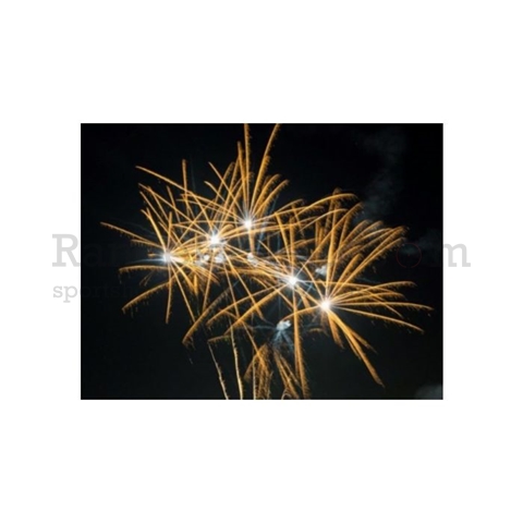 Pyrotrade Golden Willow FAN 25er Pyrotrade Golden Willow FAN 25er