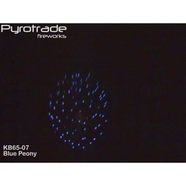Pyrotrade Blue Peony - 2,5"