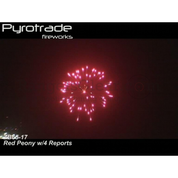 Pyrotrade Cylinder Shells Peony Mix 4 reports 2,5"